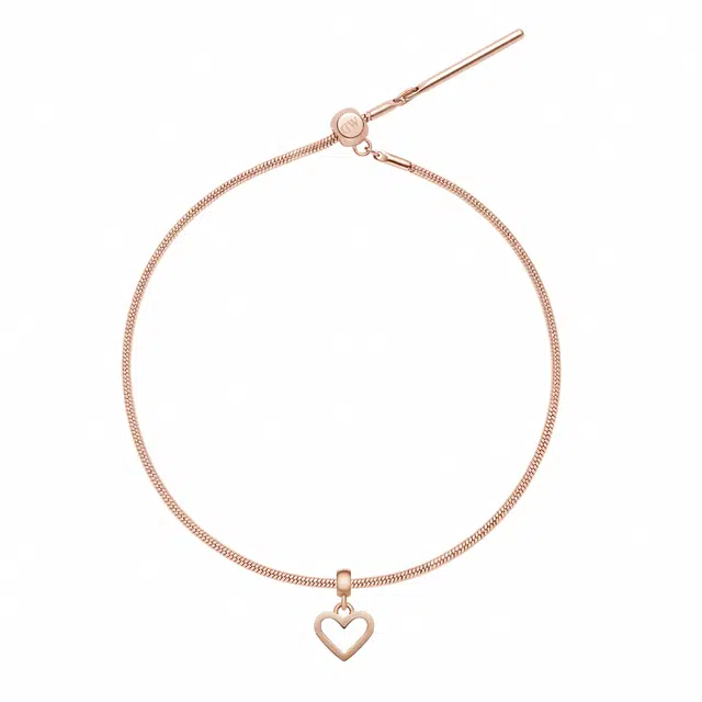 Daniel Wellington CHARMS