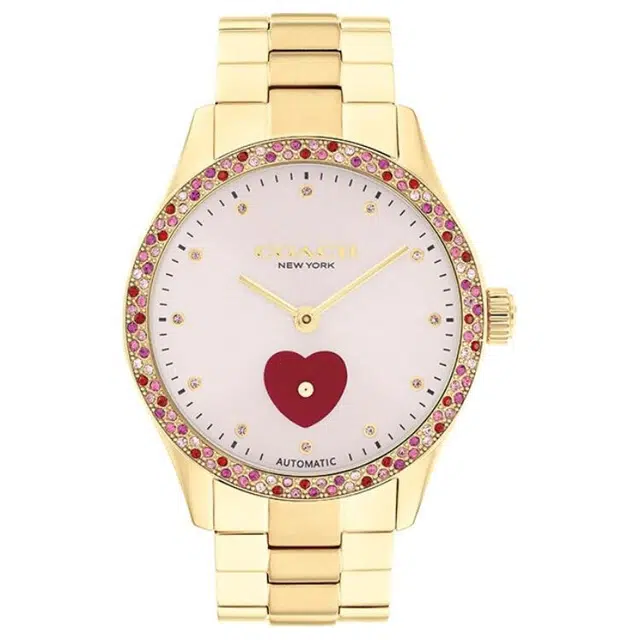 COACH BROOKS 38mm 30