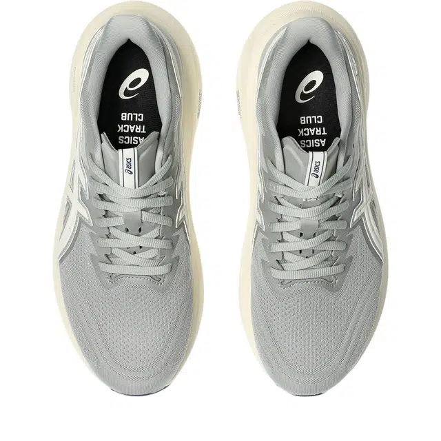 Asics GT-2000 13 ATC