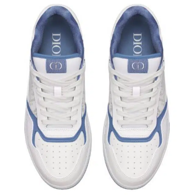 DIOR B27