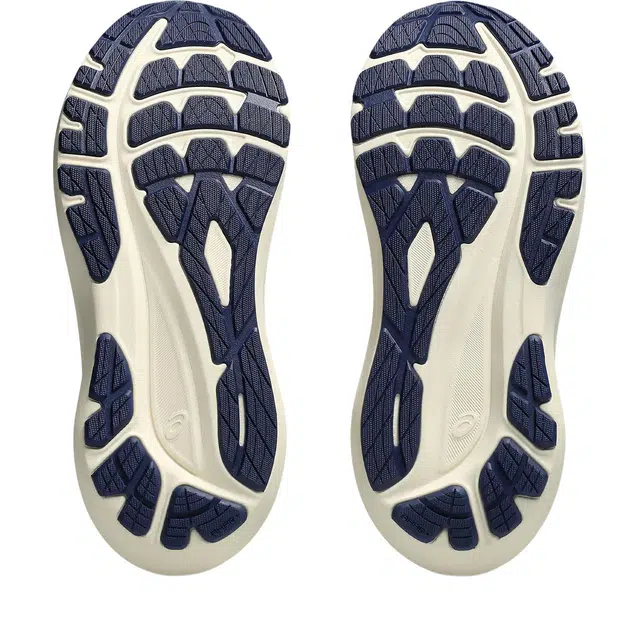 Asics GT-2000 13 ATC