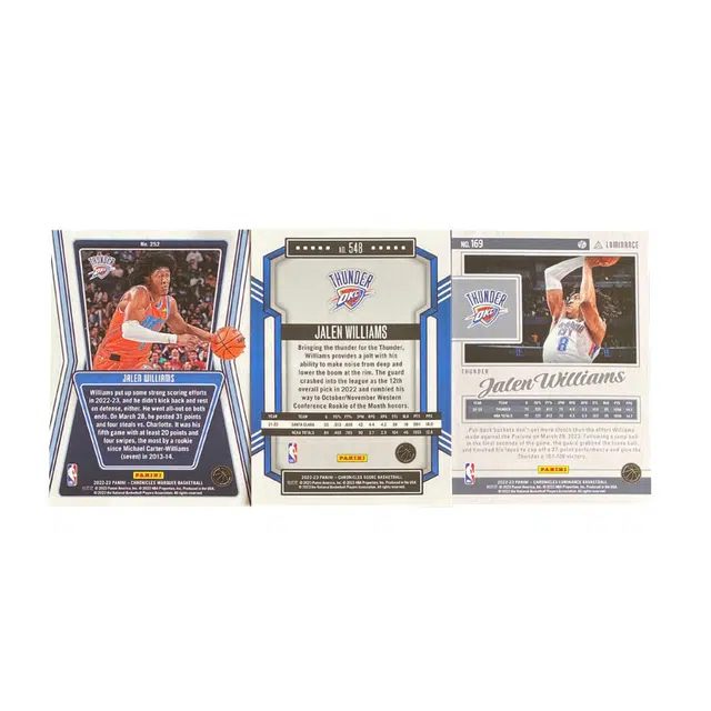 PANINI 2022-23