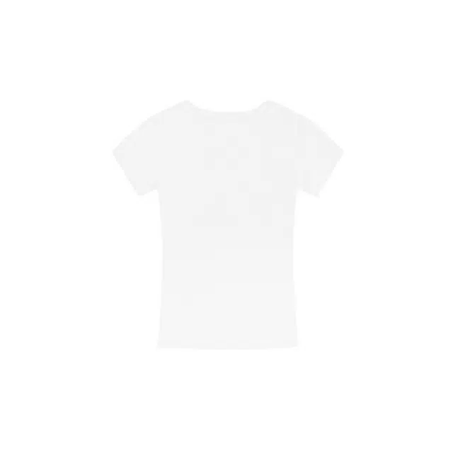 AWAO logo T
