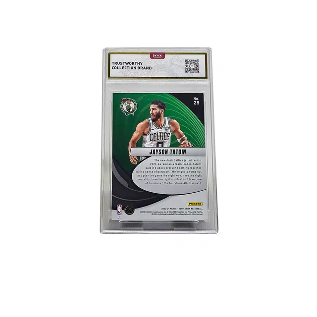 PANINI Holo 9.5