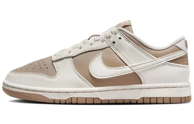 Nike Dunk Low y2k