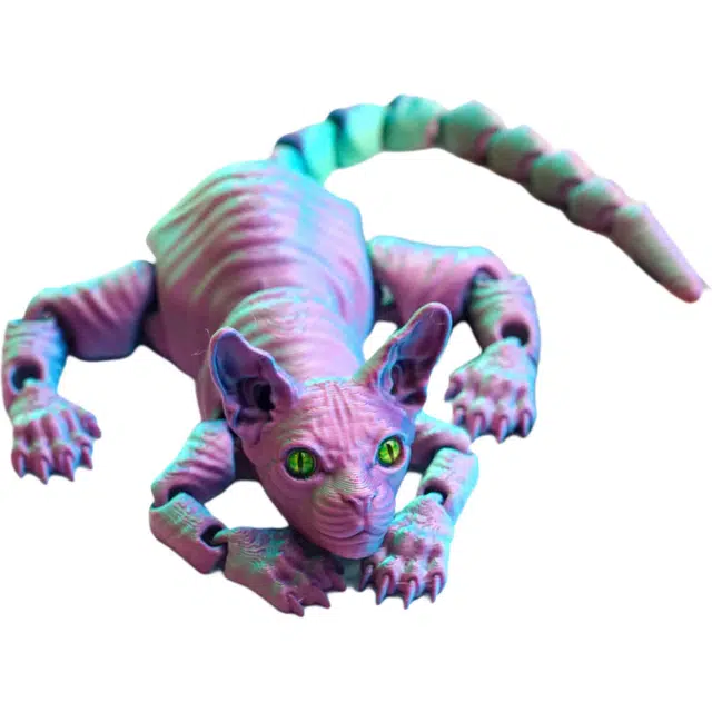 3D 24.5cm