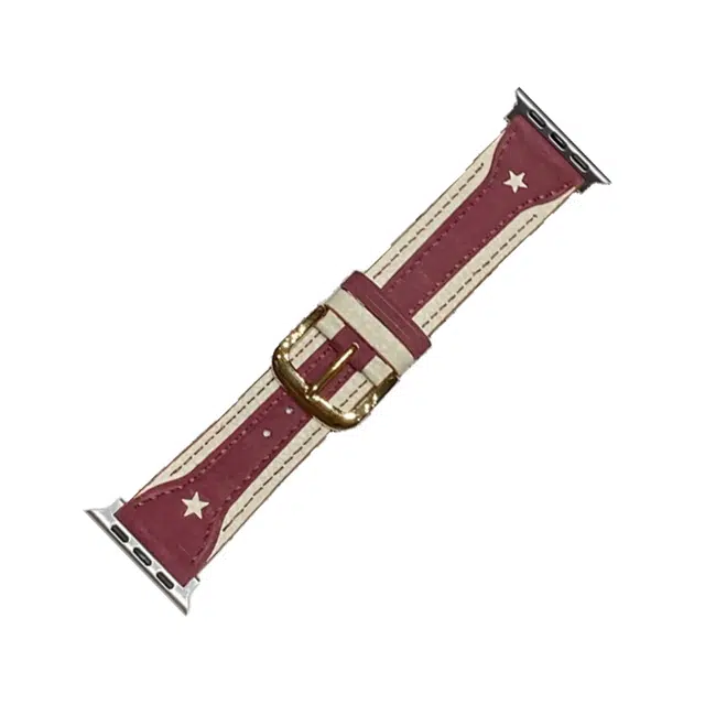10-16cm Applewatch S9S8SE76543