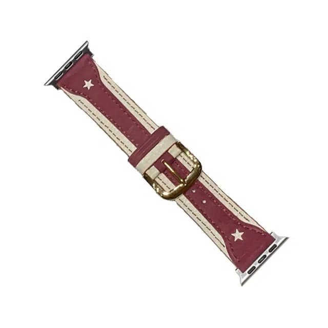 10-16cm Applewatch S9S8SE76543
