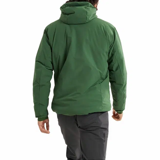 Arcteryx Proton Heavyweight Hoody
