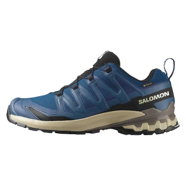 SALOMON XA Pro 3D V9 GORE-TEX