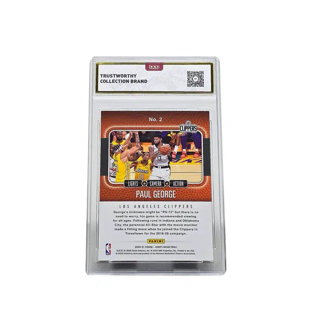 PANINI Hoops 9.5