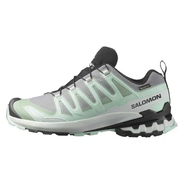 SALOMON XA Pro 3D V9 GORE-TEX