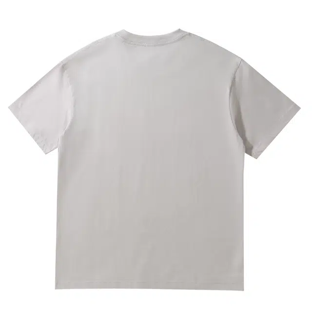 PAINT STAIN insT