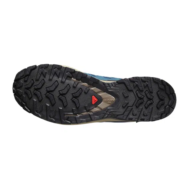 SALOMON XA Pro 3D V9 GORE-TEX