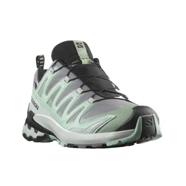 SALOMON XA Pro 3D V9 GORE-TEX