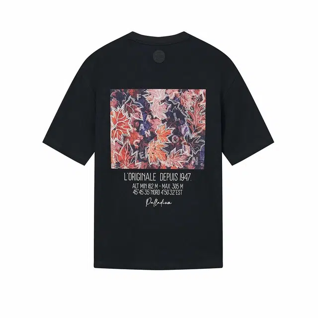 Palladium T