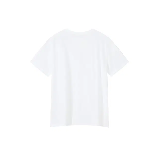 PIONEER CAMP T