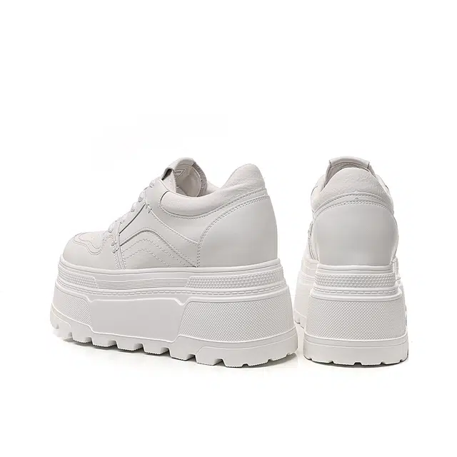 AQUASCUTUM