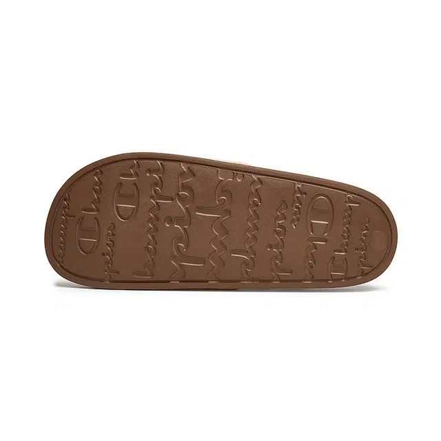 Champion Slide Script