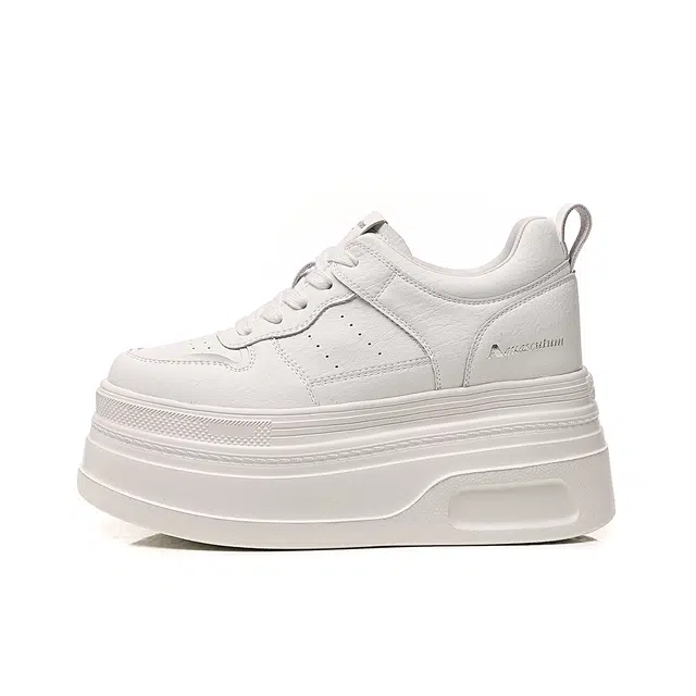 AQUASCUTUM