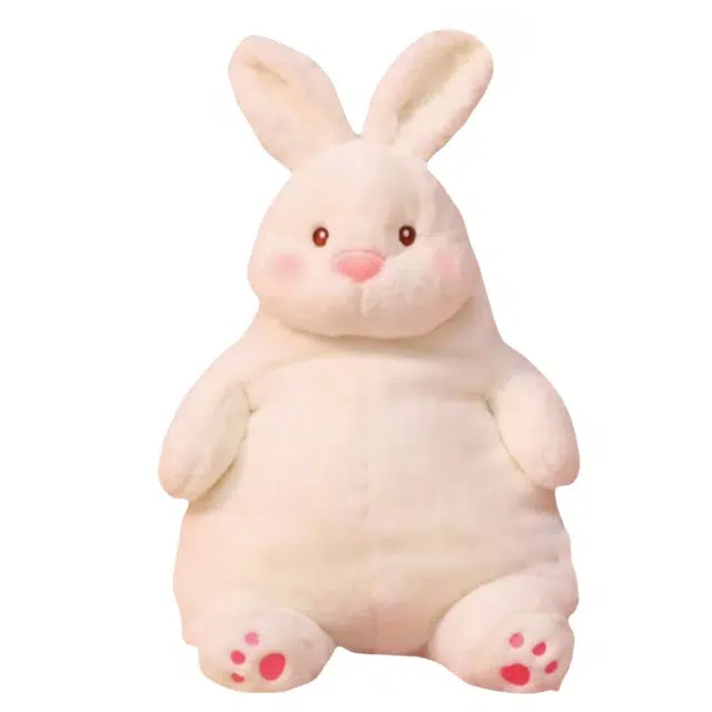 45cm65cm