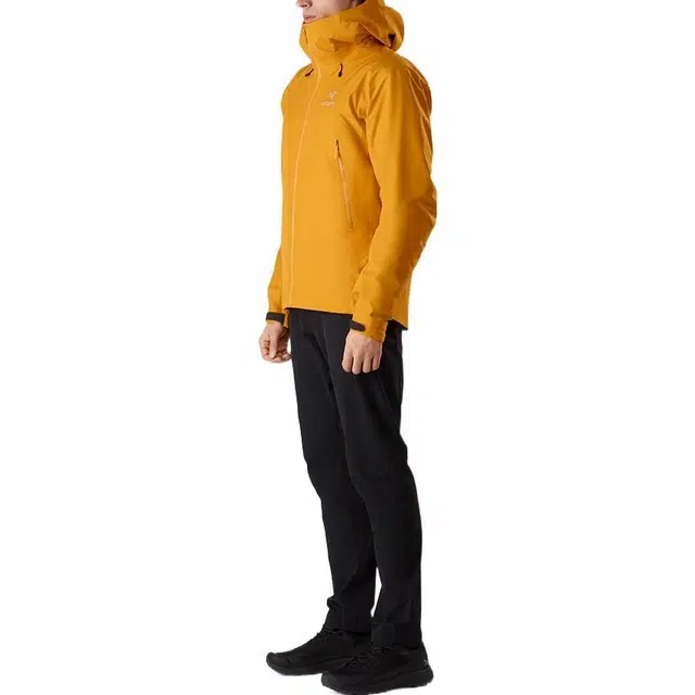 Arcteryx Beta Fl Logo
