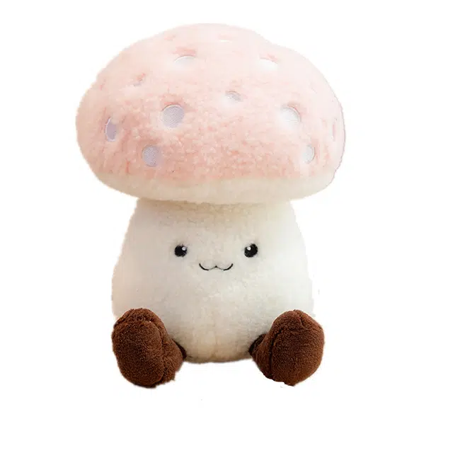 16cm30cm