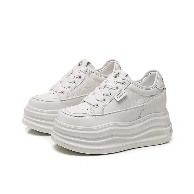 AQUASCUTUM