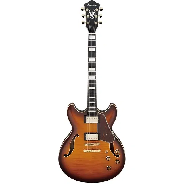 Ibanez (Artcore)AF93 (Jazz)