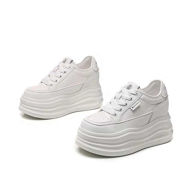 AQUASCUTUM