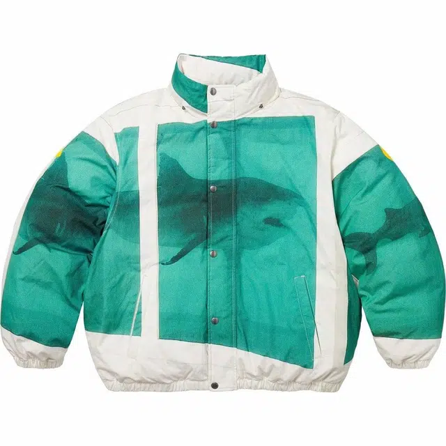 Supreme x Damien Hirst SS25 WEEK1 Down Puffer Jacket