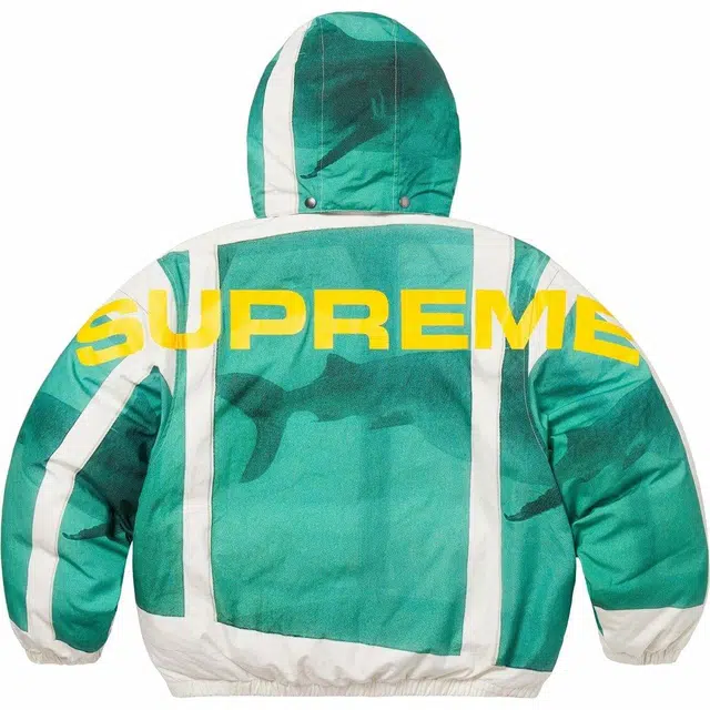 Supreme x Damien Hirst SS25 WEEK1 Down Puffer Jacket
