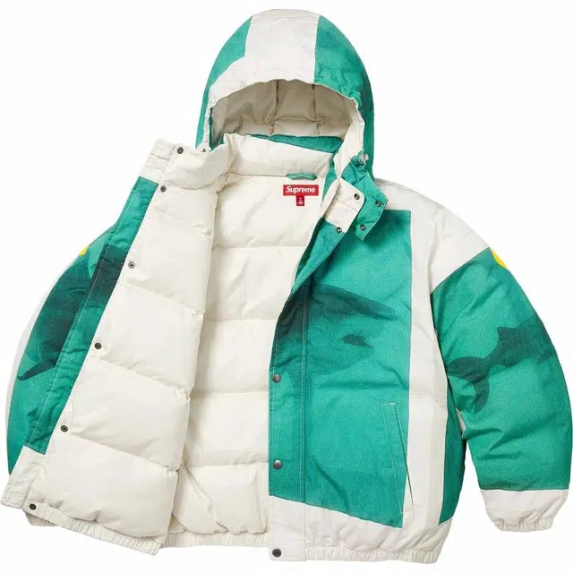 Supreme x Damien Hirst SS25 WEEK1 Down Puffer Jacket