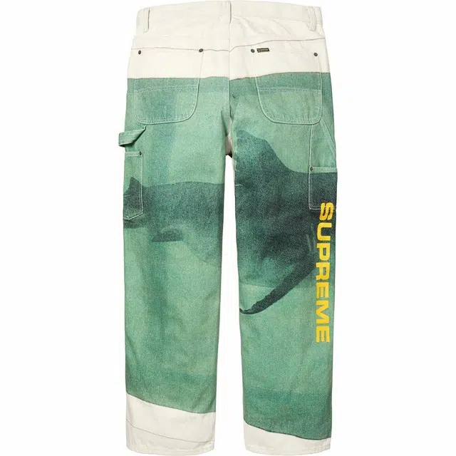 Supreme x Damien Hirst SS25 WEEK1 Painter Jean