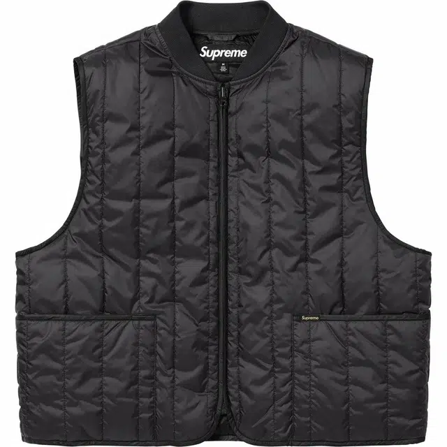 Supreme SS25 WEEK1 2-in-1 GORE-TEX Shell + Quilted Liner Vest