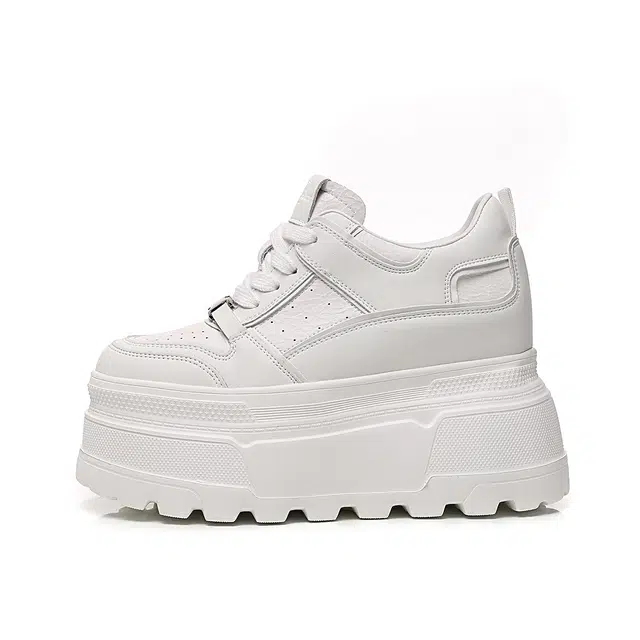 AQUASCUTUM