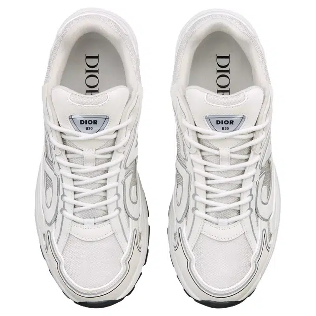 DIOR B30