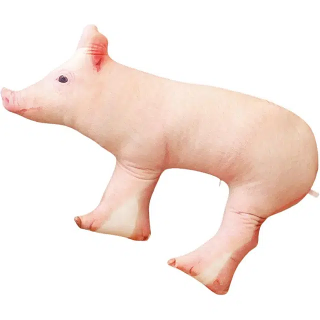 3D 25cm30cm