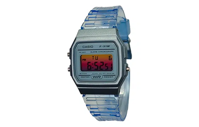 CASIO DIGITAL F-91WS-2