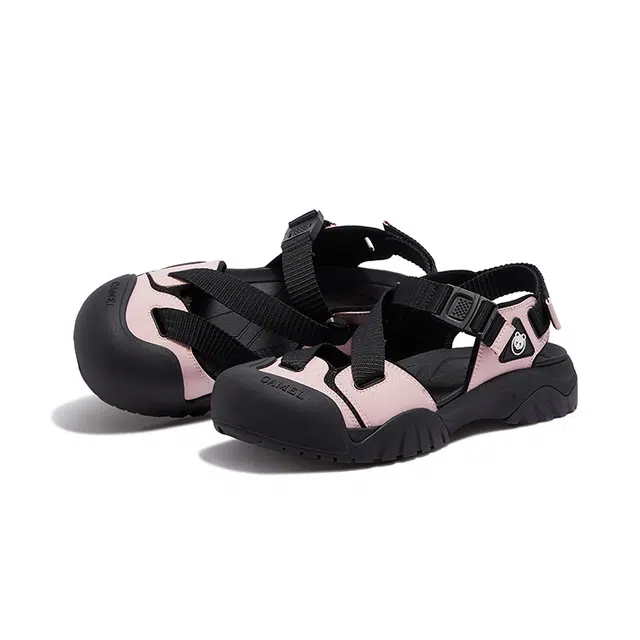 x CAMEL