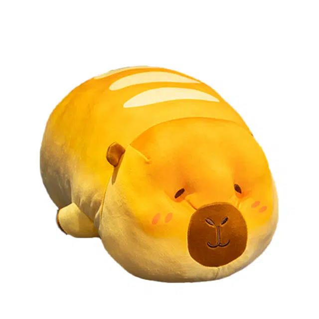 24cm14cm