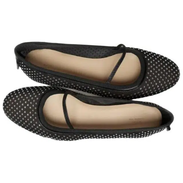 A.P.C Swan
