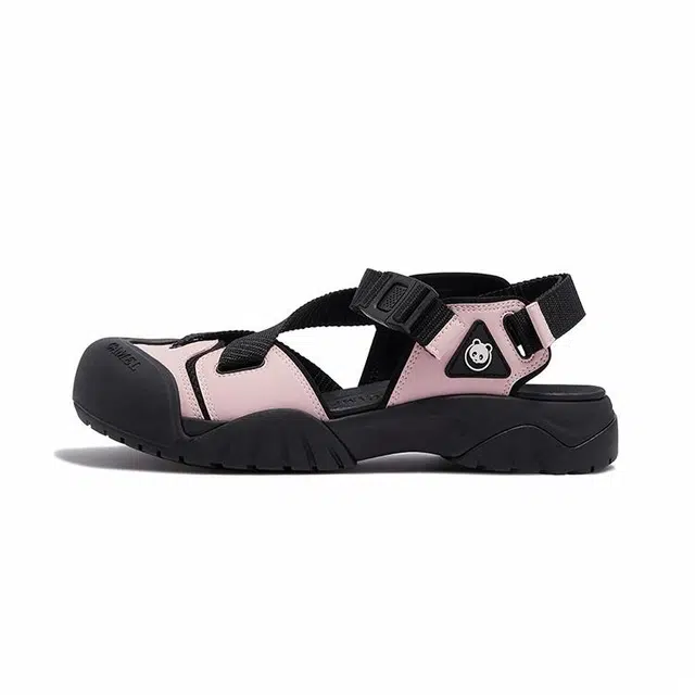 x CAMEL