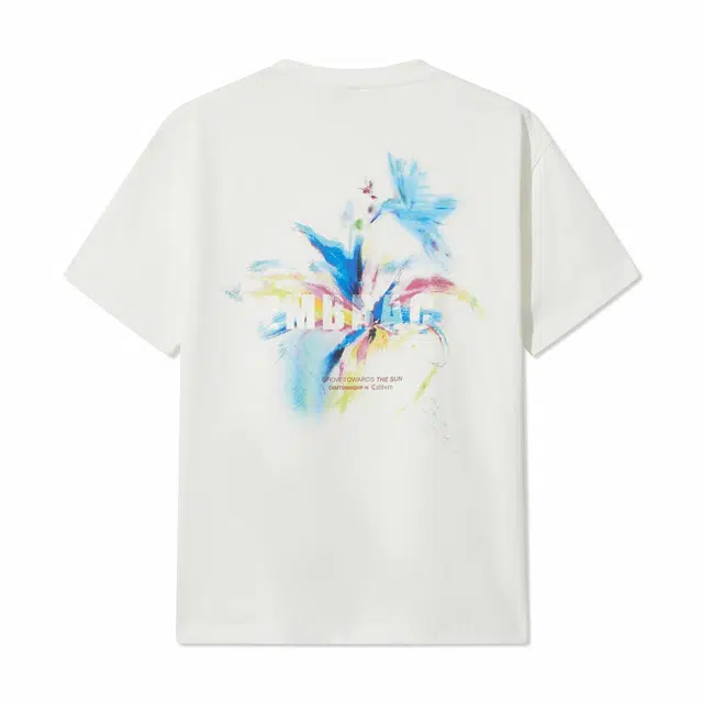 Cabbeen 2025T
