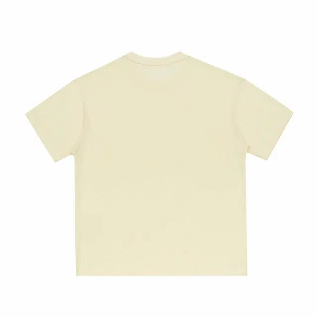 MindBridge T