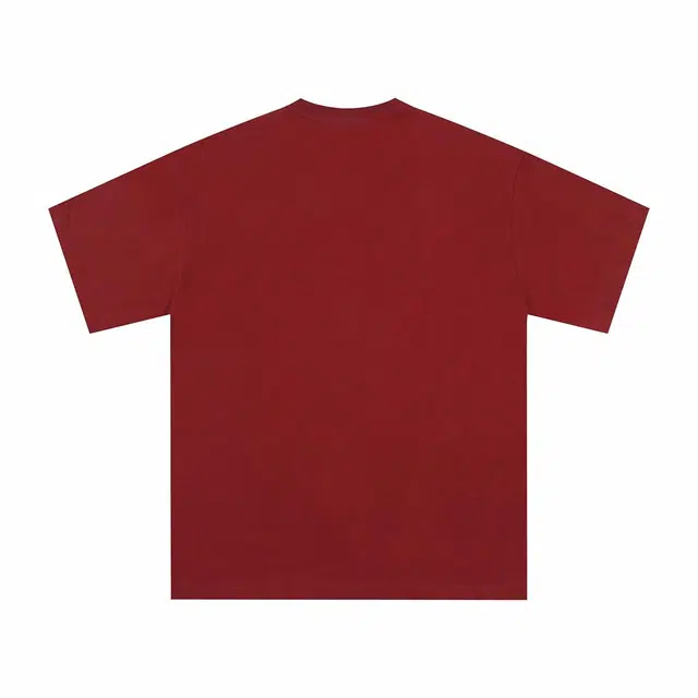 MindBridge T