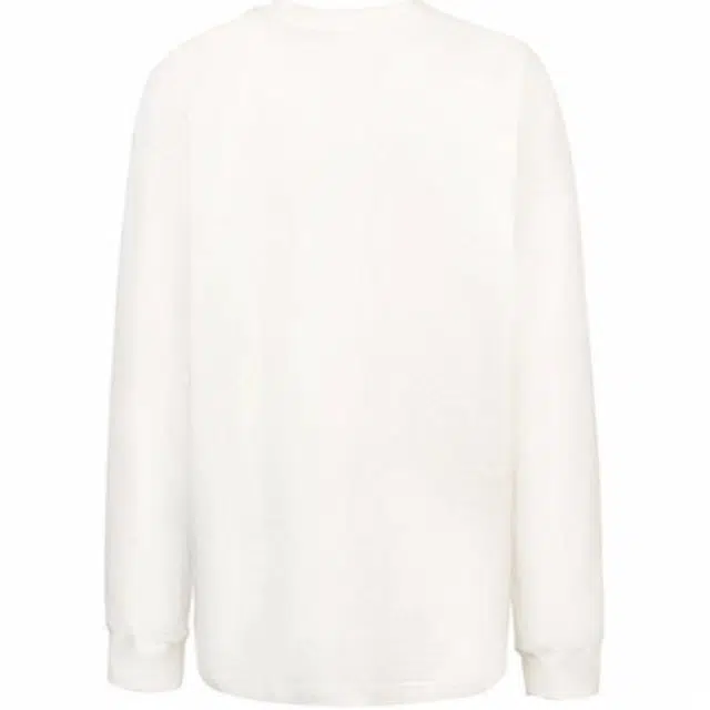 abigthanks T
