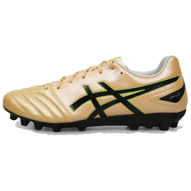 Asics DS LIGHT PRO AG