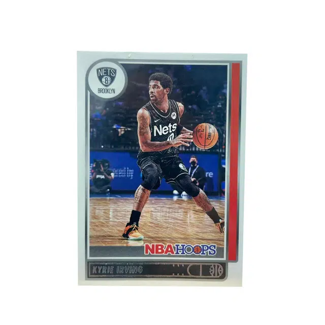 PANINI 2020-21 HOOPS