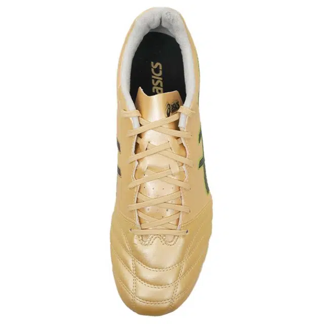 Asics DS LIGHT PRO AG